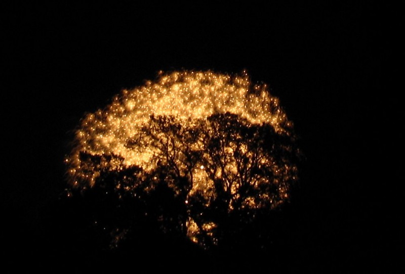Treptow in Flammen